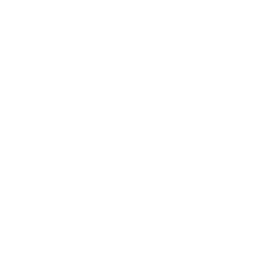 Star Decoration